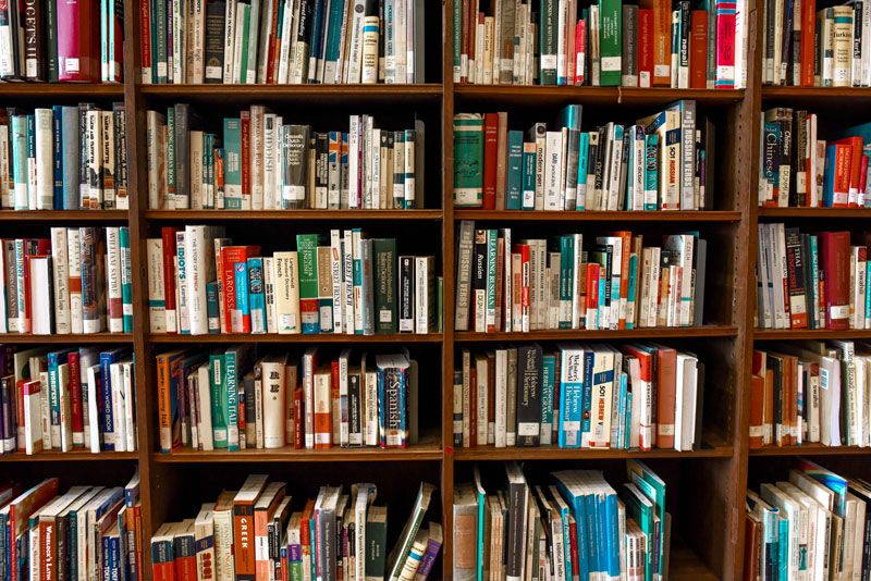 Dans la bibliothèque de Ziad Majed