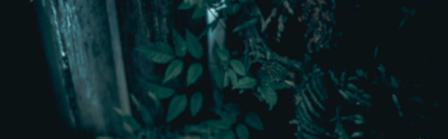 Alejandra Vaughan + Armando_360
