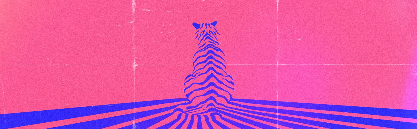 Collectif Fauve : Jimmy + Youps