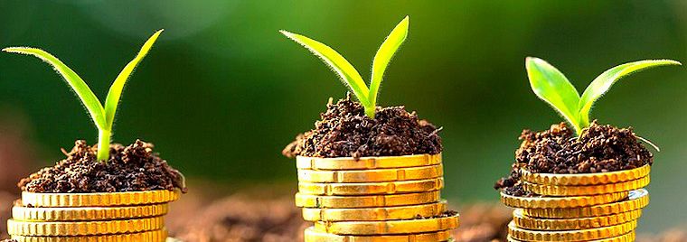 Écologie et marché, est-ce vraiment durable ?