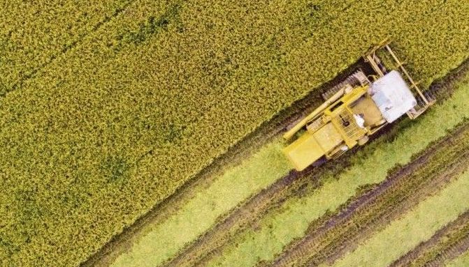 Terres agricoles : derrière l'accaparement opéré par les multinationales