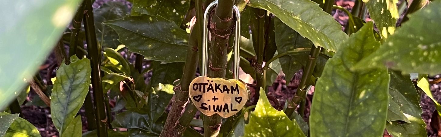 Siwal + Ottäkam