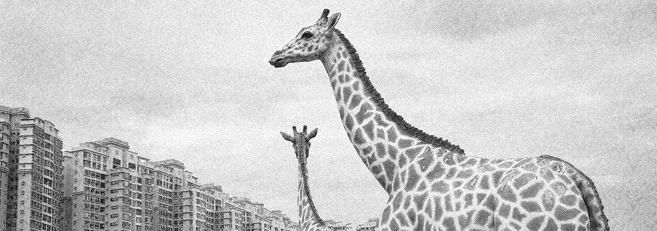 Ce que parler veut dire. Derrière les rouages du langage