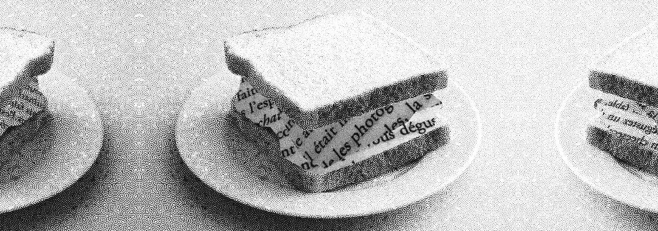 Lecture sandwich - Didę