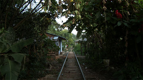 court4.jpg