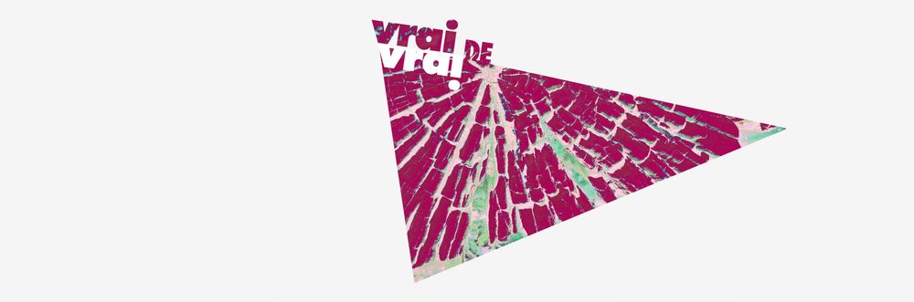 Vrai de Vrai 2024
