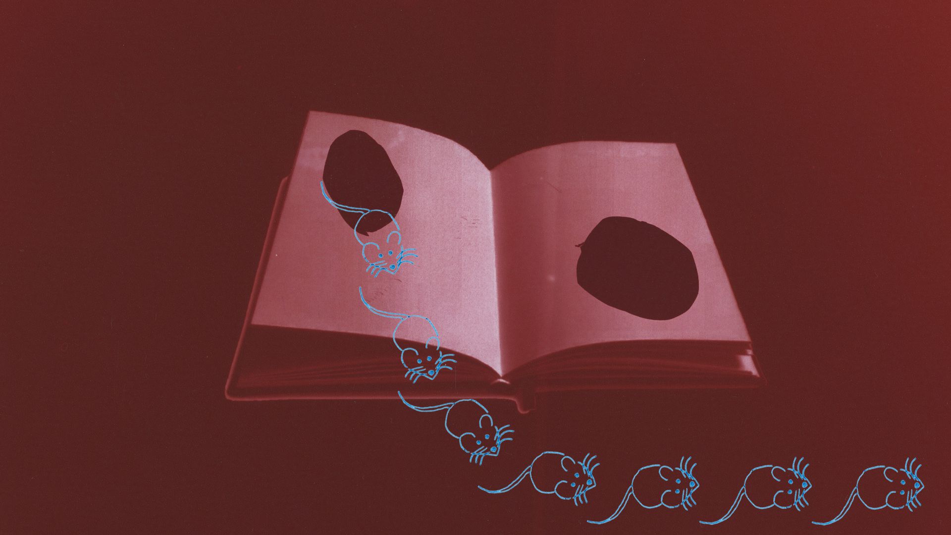 Livres à trou