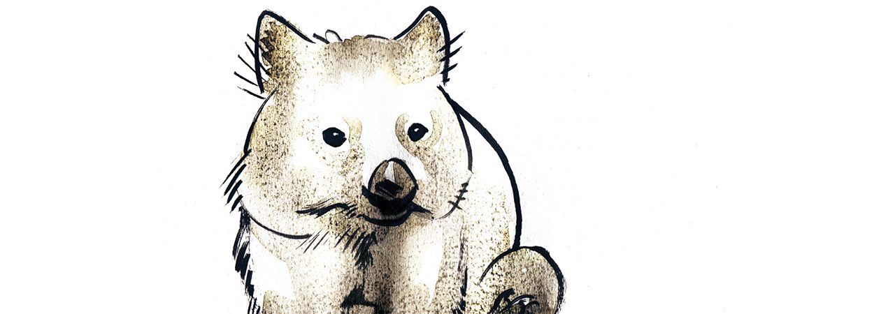 Anecdotes animalières