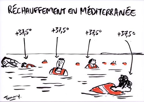 © Tommy Dessine