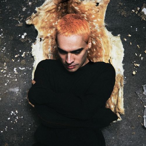 Sega Bodega