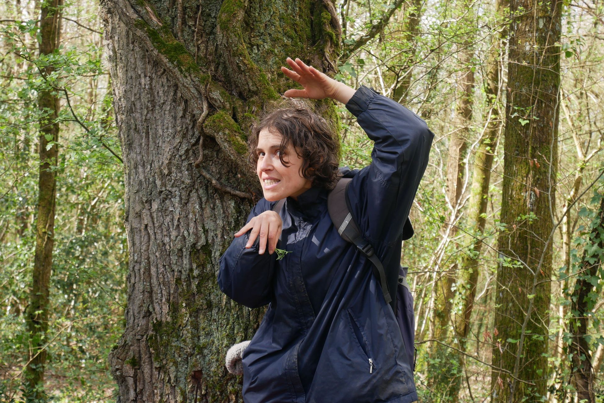 (Re)découvrir les plantes
