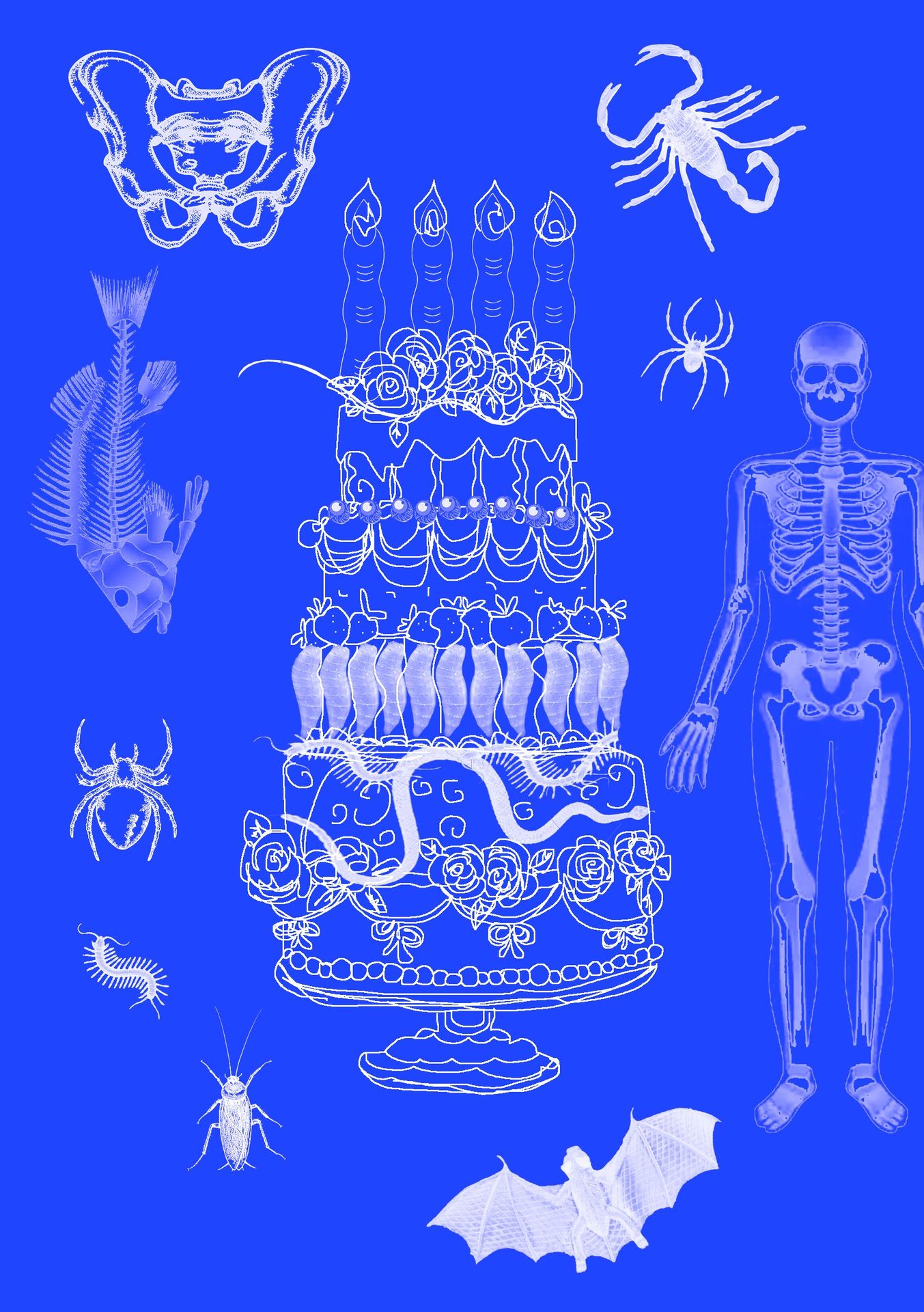 Evil Cake
