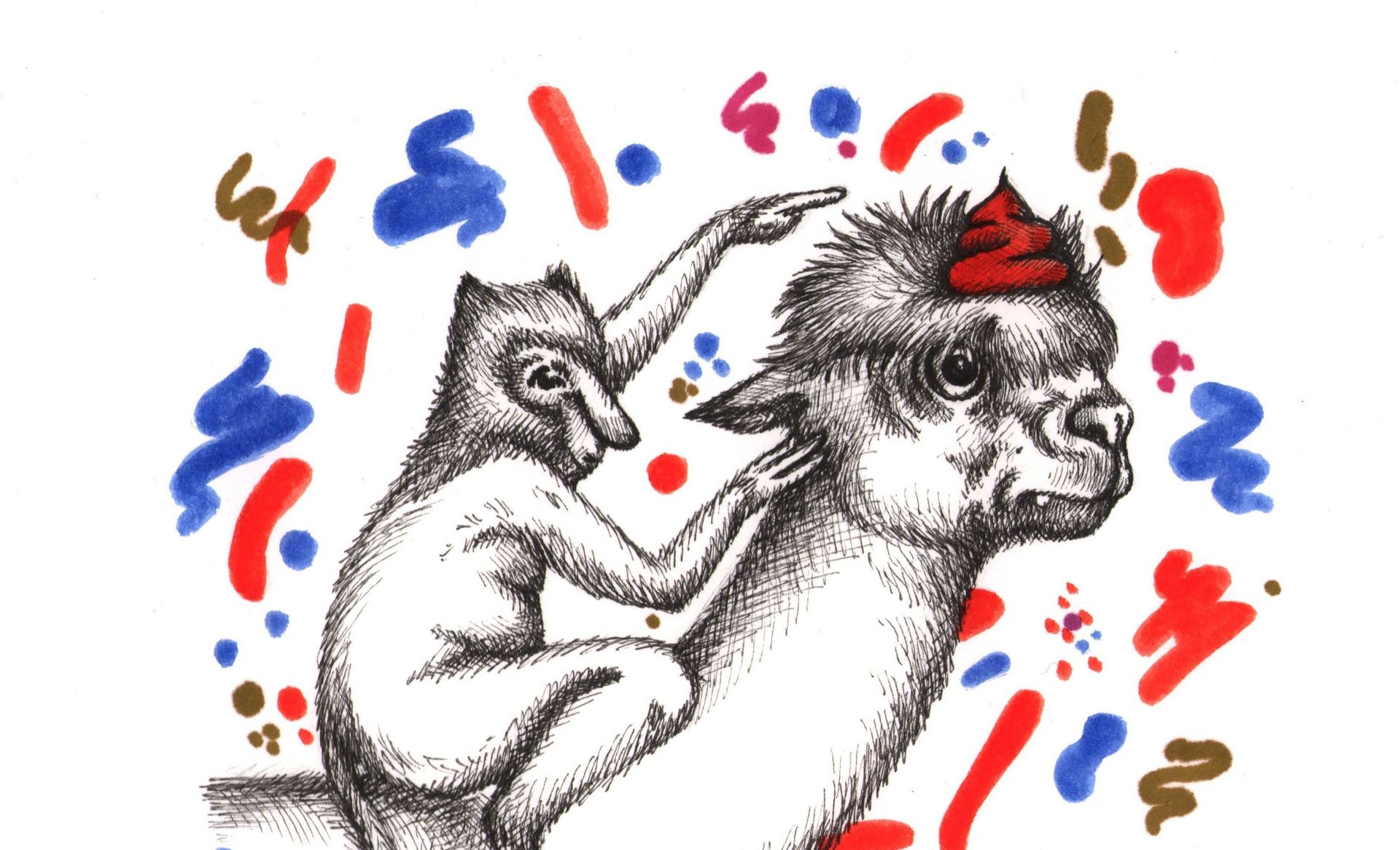 Curiosités animales : le caca des animaux